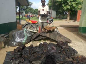 Poacher with his 'bush meats" : Eating such wild meat dangerous, says UN