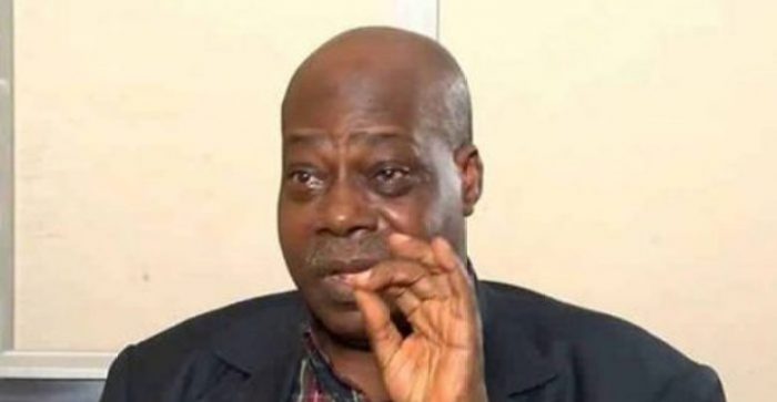 A rare Ray: Tribute to Ray Ekpu at 75 - - Vimarsana News