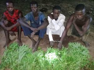 The alleged kidnappers arrested by the hunters