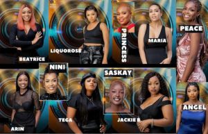BBNaija Shine Ya Eye female housemates