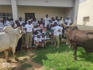 The cows and rice donated to corps members for Eid-el-kabir celebration by President Buhari