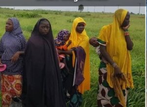 ISWAP Boko Haram Members Surrender in Konduga August 9, 2021 3