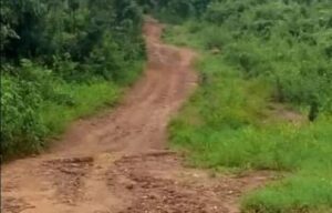 Akpanya-Ofabu-Road: