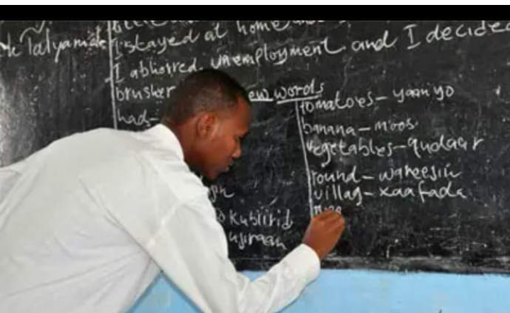The misfortune of an environment shaped by 22,000 unqualified teachers