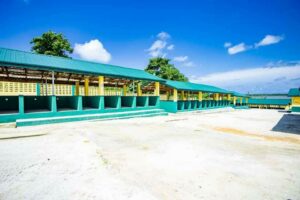 he remodeled fish market delivered by OSSAP-SDGs in Epe, Lagos