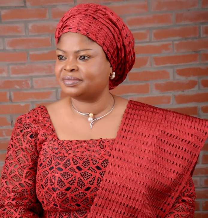Group highlights OSSAP-SDGs' commendable milestones - Vimarsana News