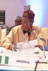 The Minister of Information and Culture, Alhaji Lai Mohammed, addressing the 64th Meeting of the UNWTO-CAF in Arusha, Tanzania, Wednesday.