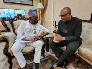Peter Obi and Obasanjo