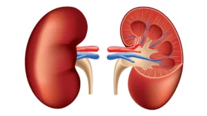 Alliance Hospital Refutes Allegations of Unlawful Kidney Harvesting