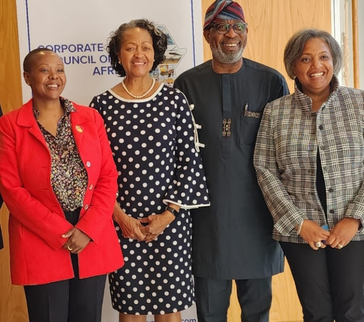 UNGA: Nigeria'll be a big global player in supply of critical minerals – Dele Alake - Vimarsana News