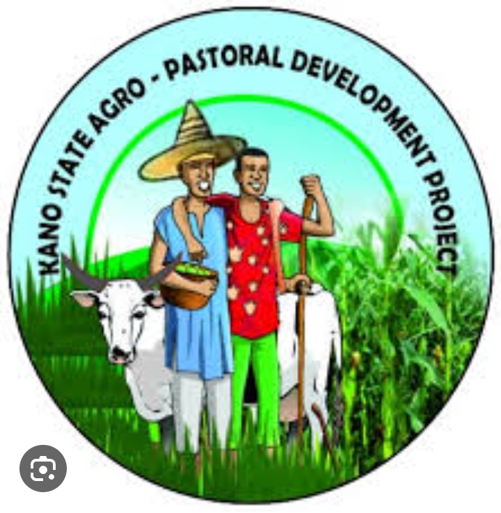 KSADP awards N600 million contract for expansion of Dawanau grain market - - Vimarsana News
