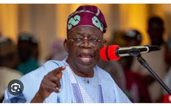 Appointment: Tinubu fair to all regions, says Arthur Eze - - Vimarsana News