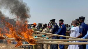 Stakeholders burn huge kilograms of illicit drugs in Kano