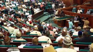 Rep. Victor Ogene (LP-Abia), a member of the committee, commended the CEO of Alliance Hospital for bringing the matter before the lawmakers.
