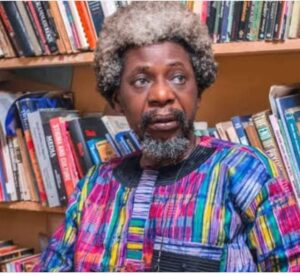 Professor Sola Olorunyomi