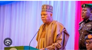 VP Kashim Shettima