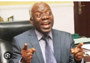Femi Falana