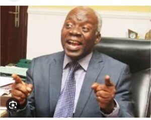Femi Falana, SAN