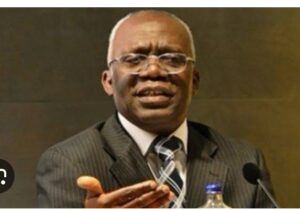 Femi Falana
