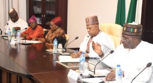 VP Shettima inaugurates of the Nutrition Core Working Committee