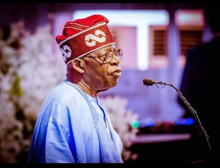 The significance of Tinubu's first one week of 2024 - Vimarsana News