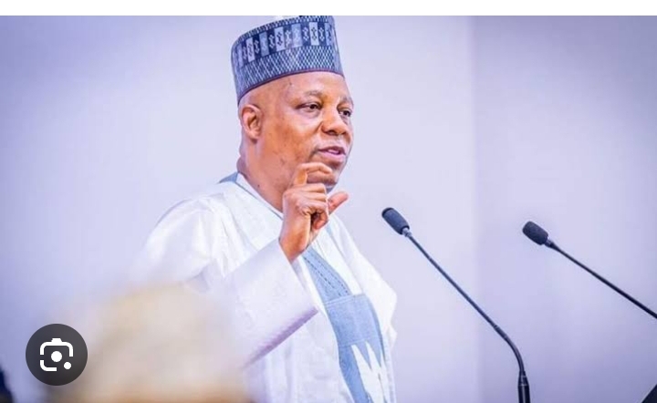 At World Economic Forum: VP Shettima Urges African Leaders to Ramp Up 3% Of Continent's Global GDP - Vimarsana News