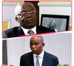 Falana, top, and Fagbemi2