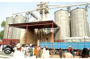 One of Nigeria's strategic grain reserve sites