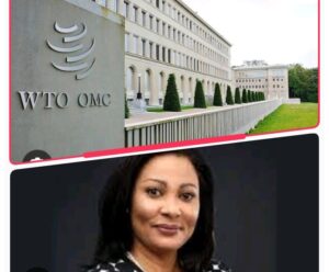 Doris Uzoka-Anite, Minister of Industry, Trade and Investment and World Trade Organistion
