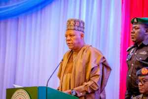 Vice President Kashim Shettima