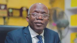 Femi Falana100