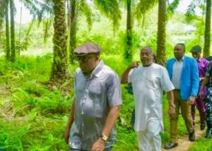 Governor Fubara's visit to the Songhai Integrated Farm in Tai local government area on July 10,2023