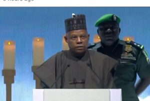 VP Shettima