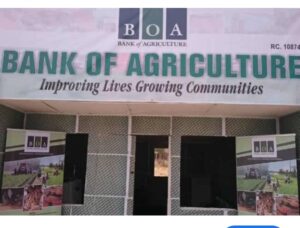 Bank of Agriculture