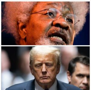 Professor Wole Soyinka, top, and former US President, Donald Trump