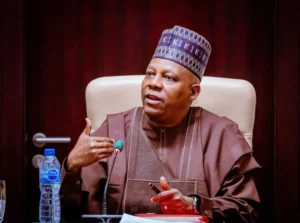 VP Shettima during the 141st meeting of the National Economic Council (NEC) at the Presidential Villa, Abuja.