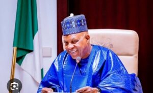 Vice President Kashim Shettima