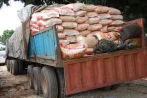 A truck of rice.jpg