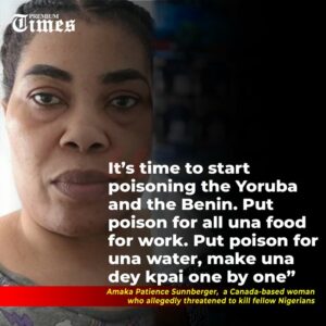 Amaka Patience Sunnberger. Premium Times photo.jpg