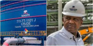 , Dangote Industries Limited2.jpg