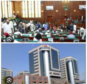House of Reps, top, and NNPC.jpg
