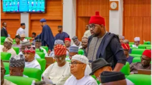 Ikenga Ugochinyere in House of Reps.jpg