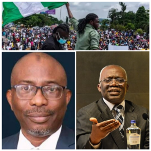 Protesters, top, Falana, right and Pedro.jpg
