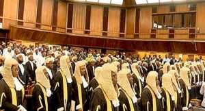 Nigerian lawyers.jpg
