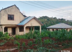 The house in question2