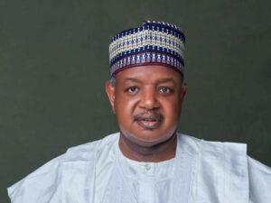Minister of Budget and Economic Planning Senator, Abubakar Bagudu