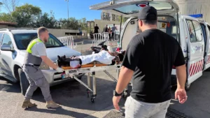 Hezbollah members wounded