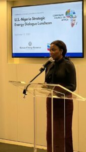 Special Adviser to the President on Energy, Olu Verheijen