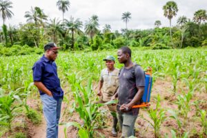 Governor Oyebanji during a visit to one of the farm clusters.jpg