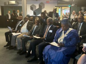 VP Shettima in Sweden2.jpg
